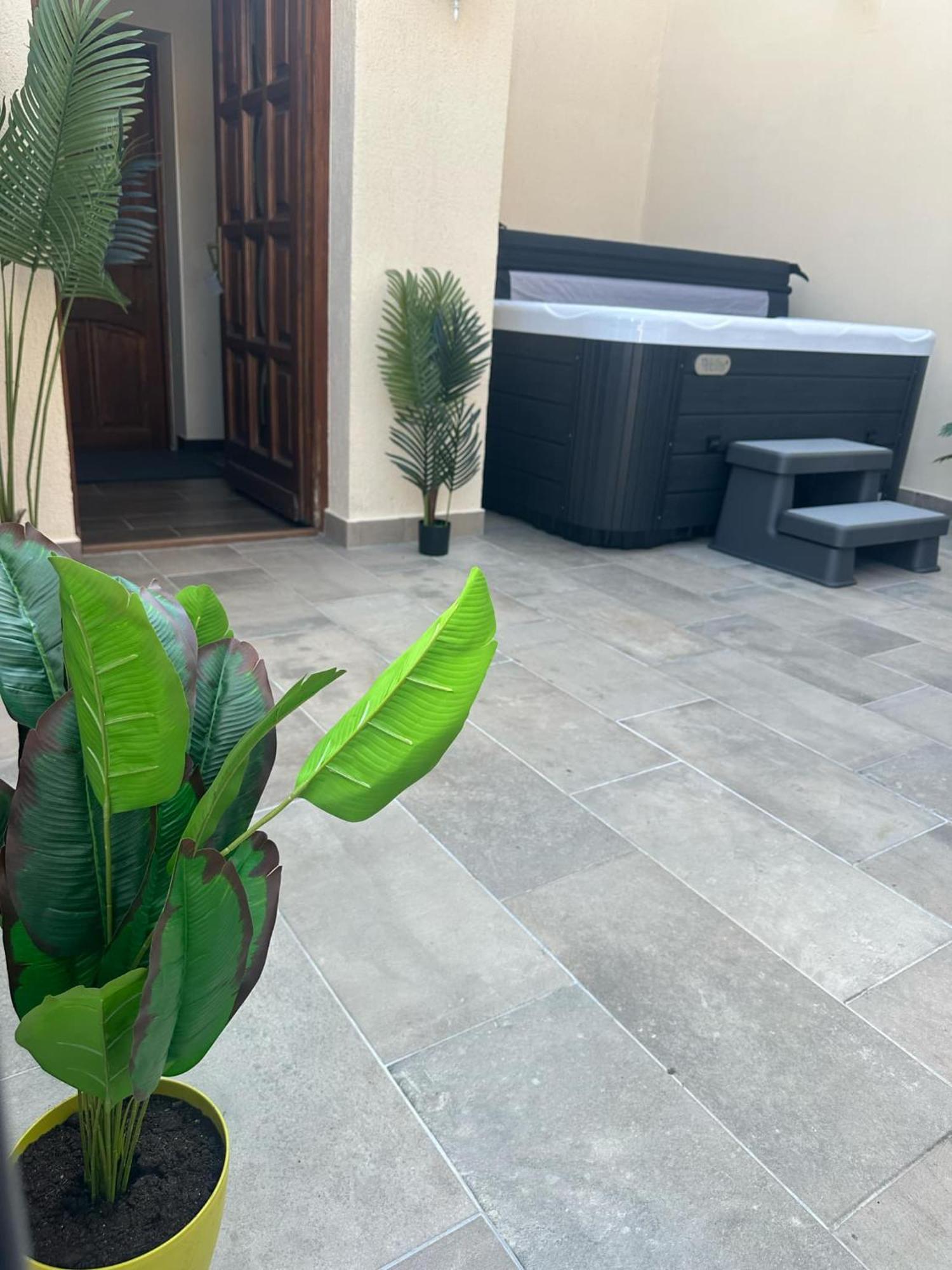 Ven Diofa De Lux Panzio Bed and Breakfast Σέγκεντ Εξωτερικό φωτογραφία