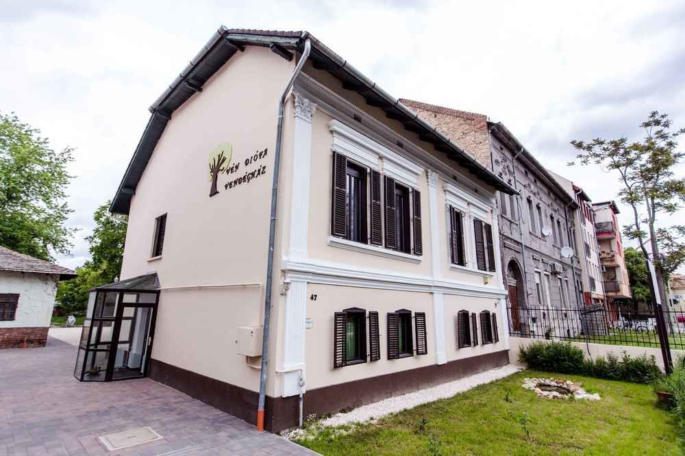 Ven Diofa De Lux Panzio Bed and Breakfast Σέγκεντ Εξωτερικό φωτογραφία